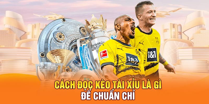 Cách đọc kèo tài xỉu là gì để chuẩn chỉ