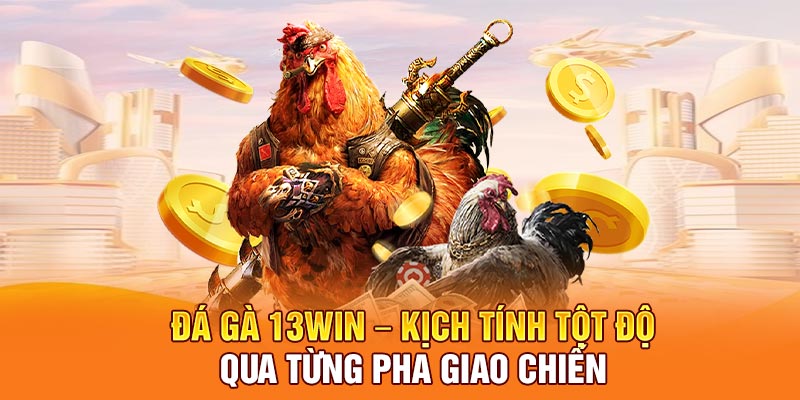 Đá Gà 13Win – Kịch Tính Tột Độ Qua Từng Pha Giao Chiến