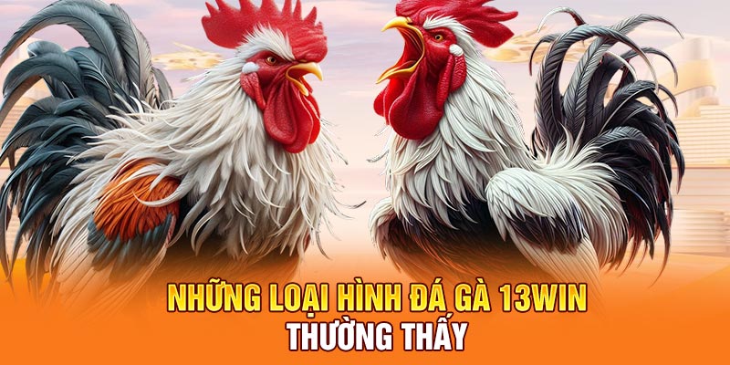 Những loại hình đá gà 13Win thường thấy