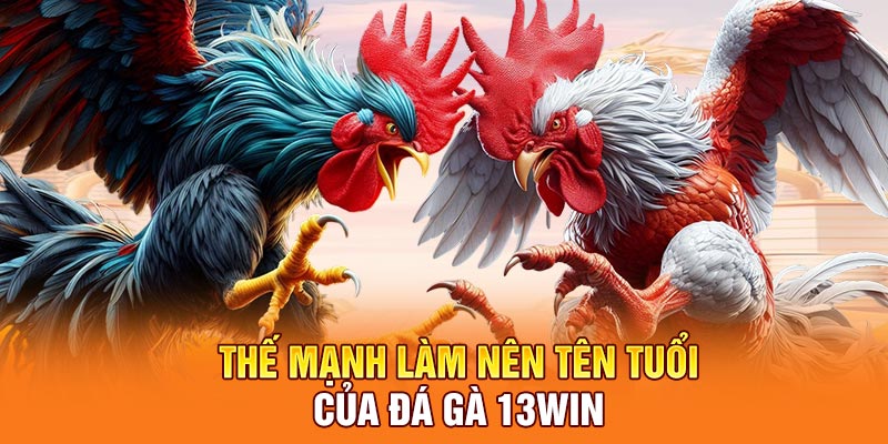 Thế mạnh làm nên tên tuổi của đá gà 13Win